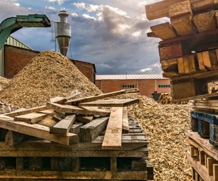 Pallet Waste Management